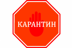 В Україні встановлено нові рівні епідемічної небезпеки: Коростенський район потрапив до «помаранчевої» зони В Україні встановлено нові рівні епідемічної небезпеки: Коростенський район потрапив до «помаранчевої» зони