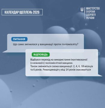 лап_и_02 03